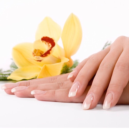 PRO NAIL & SPA - Manicures